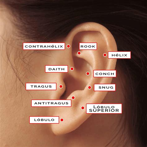 Guía definitiva: ¿En qué oreja ponerse un pendiente。